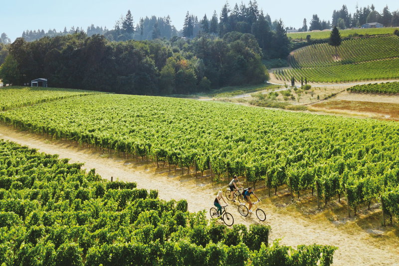 Oregon Wine Trail, Willamette Valley, United States of America, photo 37 of 39