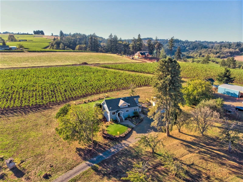 Oregon Wine Trail, Willamette Valley, United States of America, photo 3 of 39