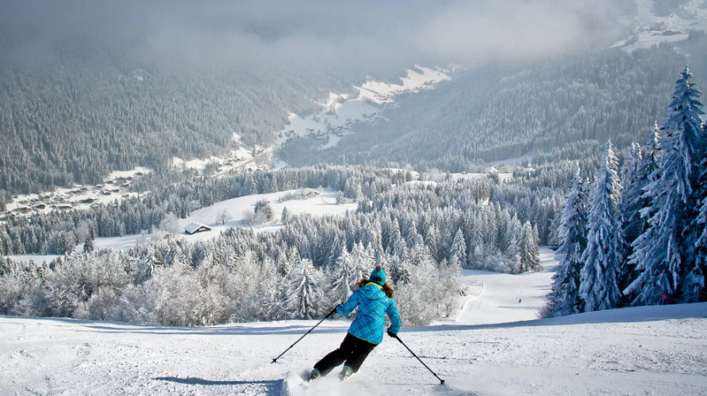 Alps Joie de Vivre, The French Alps, France, photo 2 of 25