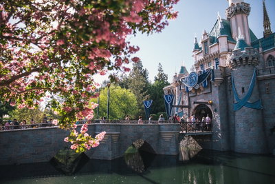 Disneyland Dreams, Anaheim, United States of America, photo 1 of 22