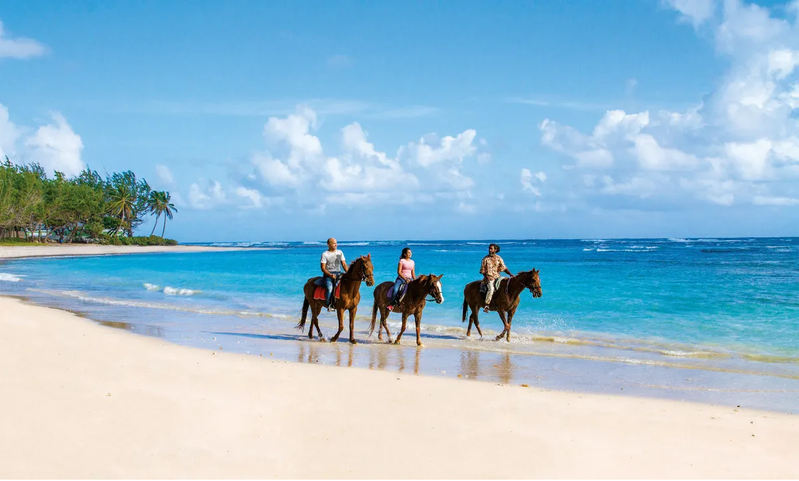 Bajan Bliss, Barbados, photo 17 of 21