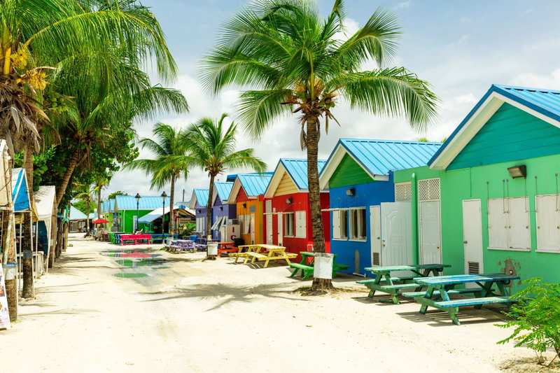 Bajan Bliss, Barbados, photo 20 of 21