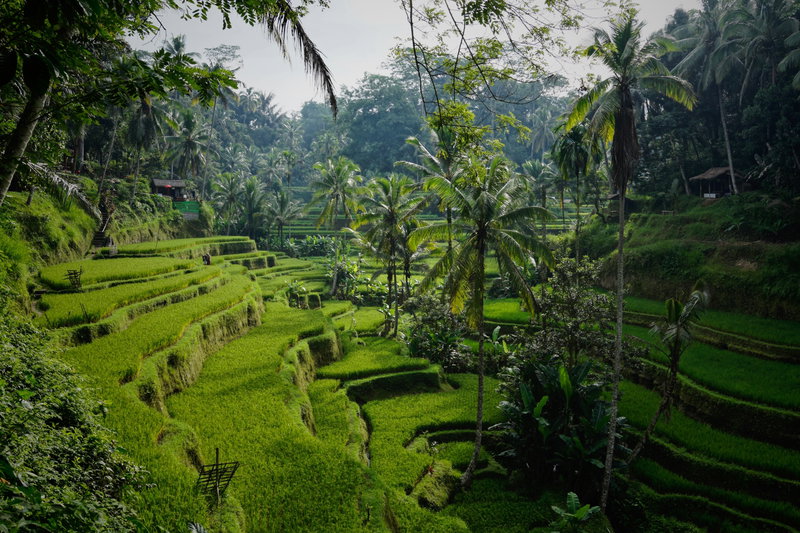 Best of Bali, Bali, Indonesia, photo 17 of 19