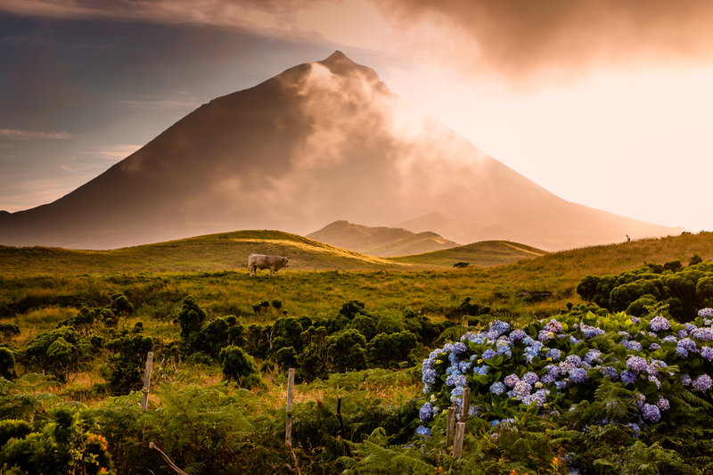 Azure Azores, Azores, Portugal, photo 21 of 22