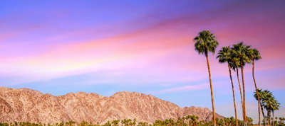 Stylish Palm Springs, Palm Springs, United States of America, photo 1 of 25
