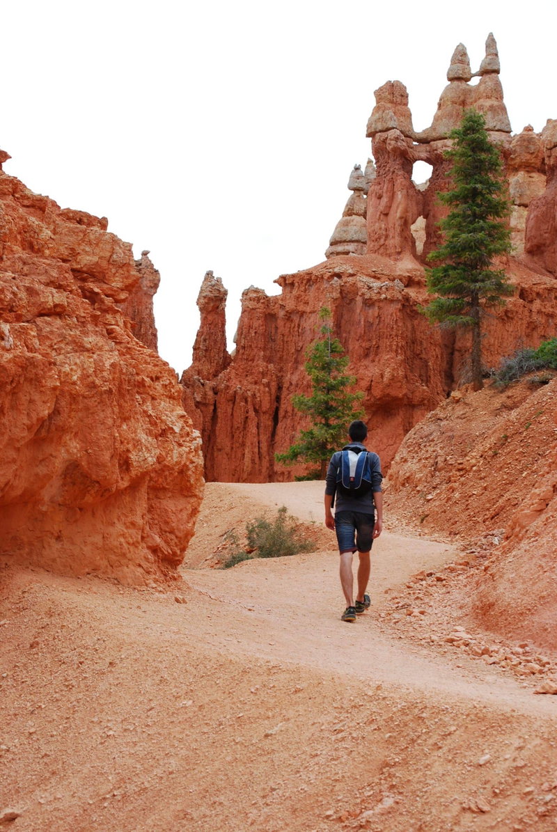 Breathtaking Bryce Canyon, Bryce Canyon, United States of America, photo 15 of 16