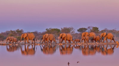 South African Safari, Kruger National Park, South Africa, photo 1 of 19