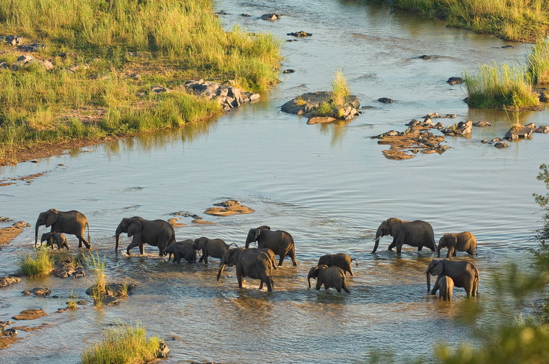 South African Safari, Kruger National Park, South Africa, photo 5 of 19