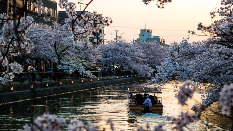 Kyoto Calm, Kyoto, Japan, photo 16 of 16