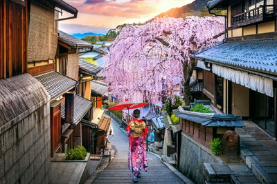 Kyoto Calm, Kyoto, Japan, photo 1 of 16