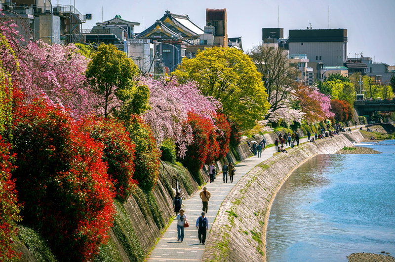 Kyoto Calm, Kyoto, Japan, photo 13 of 16