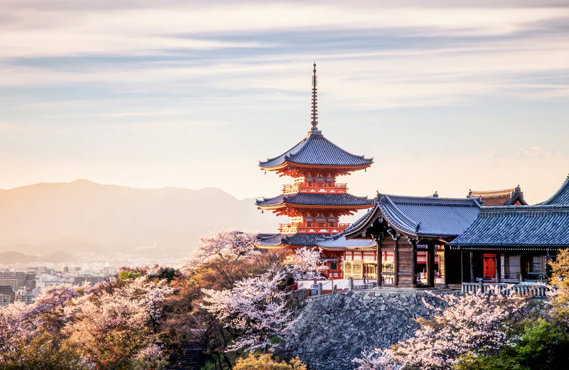 Kyoto Calm, Kyoto, Japan, photo 3 of 16