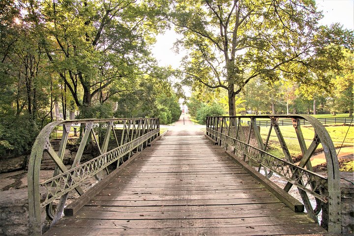 Discover Nashville in a Day, Nashville, United States of America, photo 7 of 15