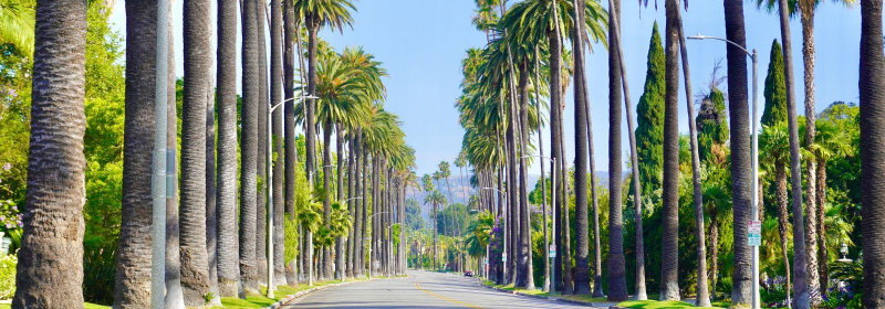 Los Angeles Skies, Los Angeles, United States of America, photo 6 of 9