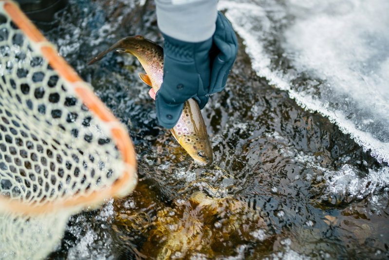 Montana Fly Fishing, Montana, United States of America, photo 3 of 10