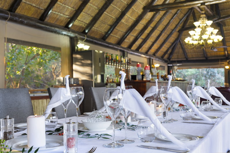 Safari Serenity, The Waterberg, South Africa, photo 14 of 18