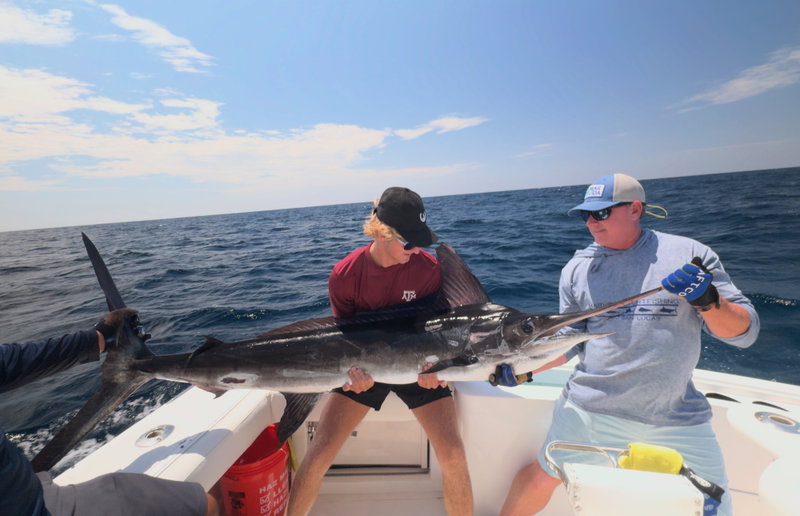 Cabo Sportfishing Adventure, Cabo San Lucas, Mexico, photo 21 of 22