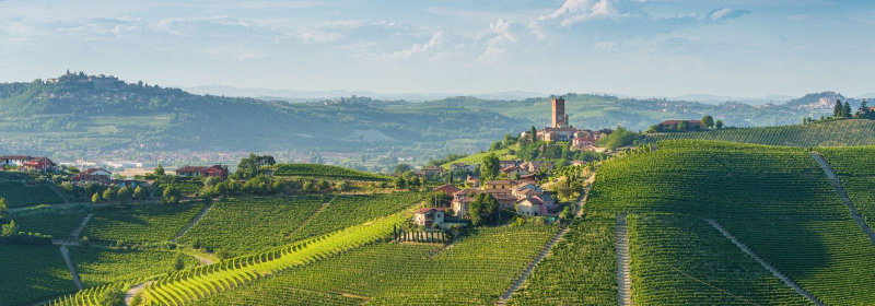 Path To Piedmont, Piedmont, Italy, photo 16 of 16