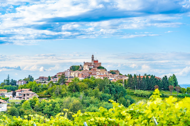 Path To Piedmont, Piedmont, Italy, photo 2 of 16