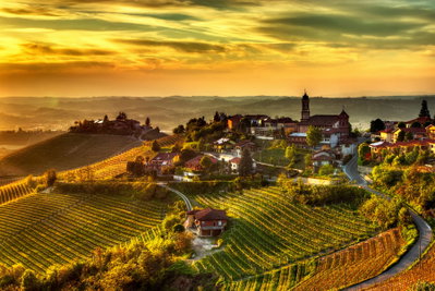 Path To Piedmont, Piedmont, Italy, photo 1 of 16