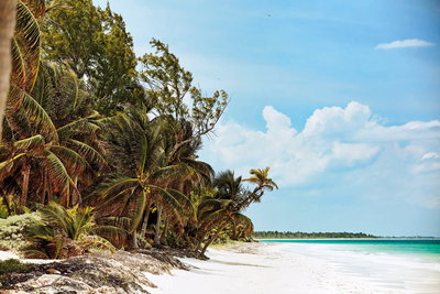 Tulum Allure, Tulum, Mexico, photo 1 of 18