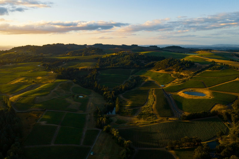 Willamette Wine Retreat, Willamette Valley, United States of America, photo 19 of 19