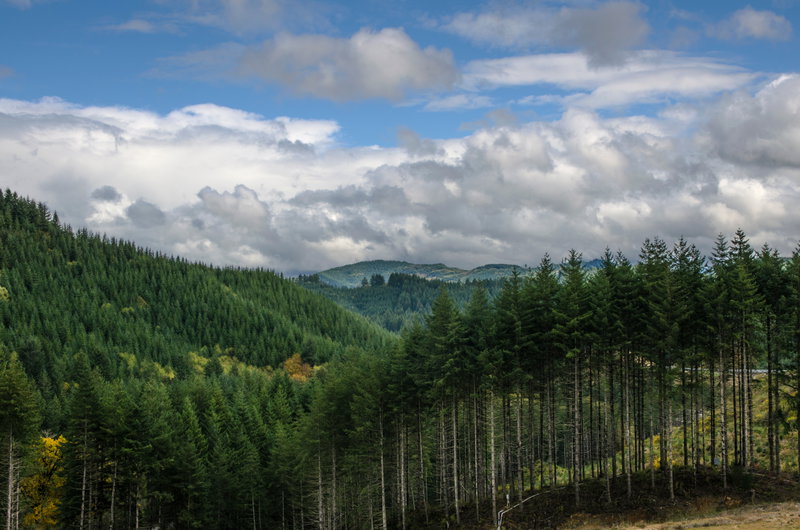 Willamette Wine Retreat, Willamette Valley, United States of America, photo 17 of 19