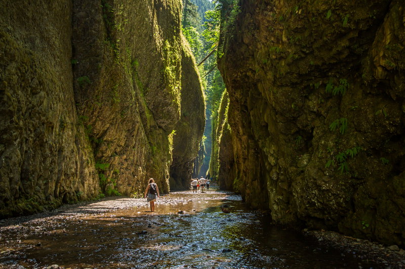 Washington Wanderlust, Columbia River Gorge, United States of America, photo 12 of 13
