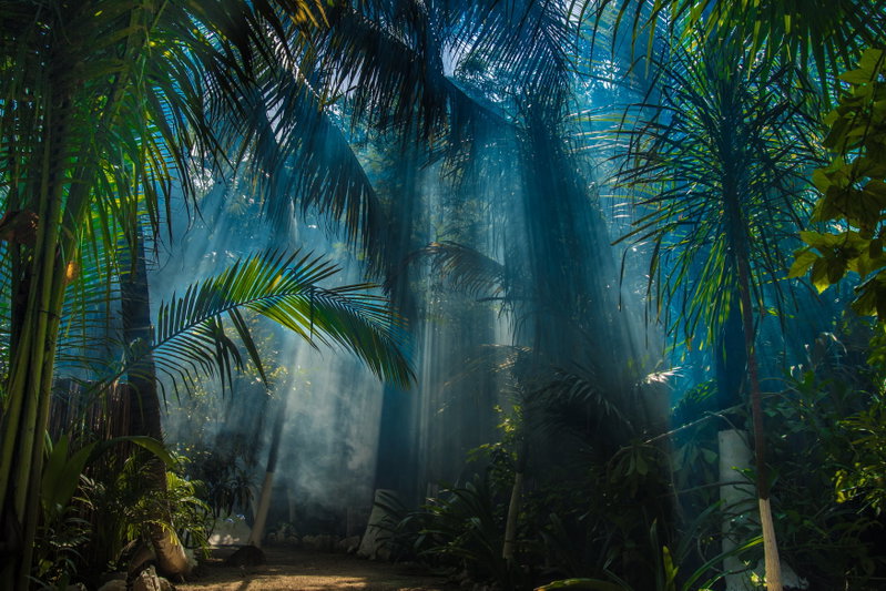Tulum Jungle Serenity, Tulum, Mexico, photo 30 of 34