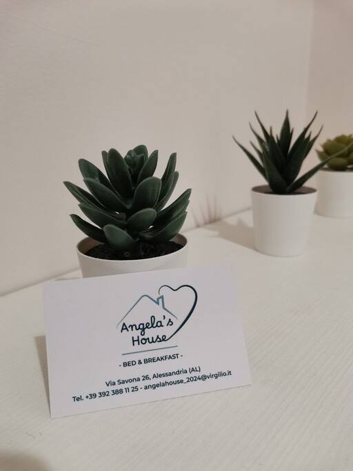 Centro Alessandria: moderno B&B ⁓ Camera Marengo