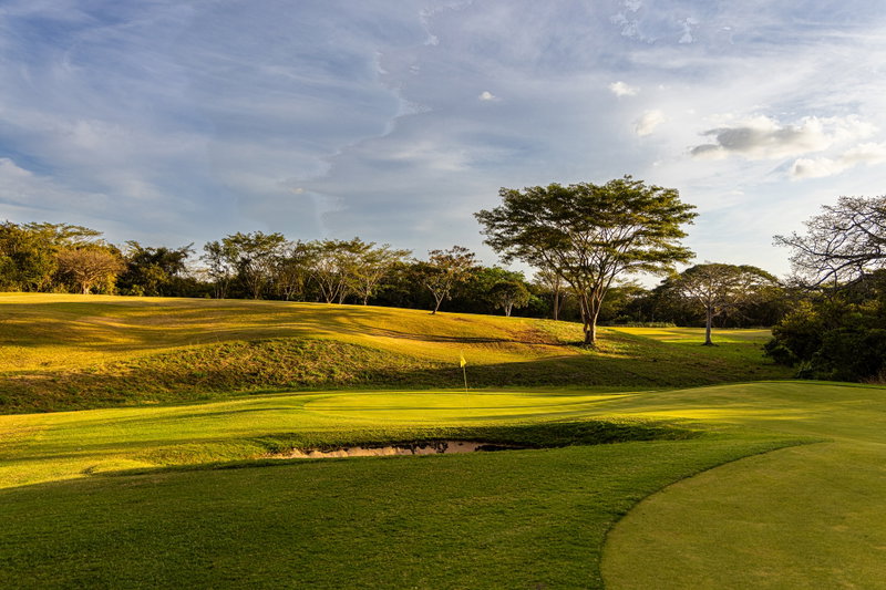 Jewel of Guanacaste, Guanacaste, Costa Rica, photo 17 of 19