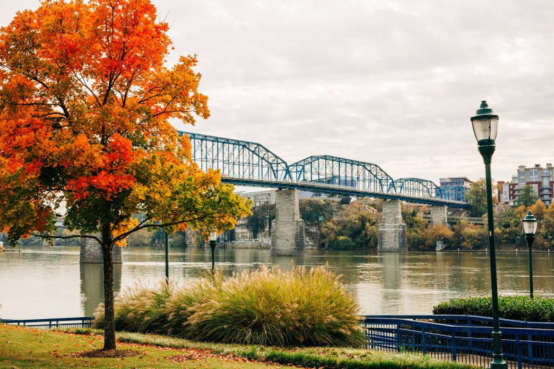 Chattanooga Southern Charm, Chattanooga, United States of America, photo 4 of 13