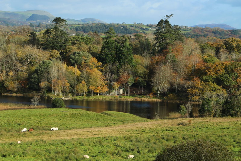 West Ireland Wanderlust, West Ireland, Ireland, photo 2 of 16