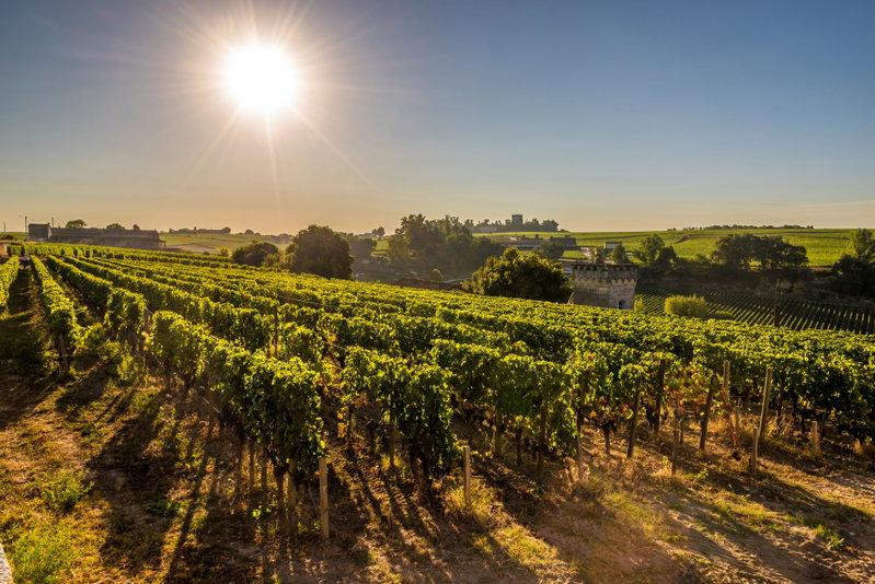 Beautiful Bordeaux, Saint-Émilion, France, photo 19 of 19
