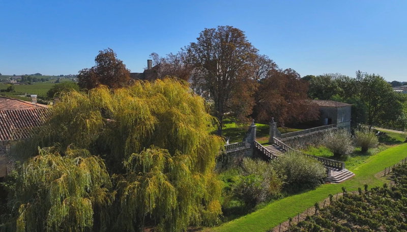 Beautiful Bordeaux, Saint-Émilion, France, photo 16 of 19