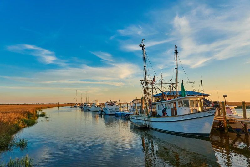 Georgia Southern Serenity, Shellman Bluff, United States of America, photo 4 of 19
