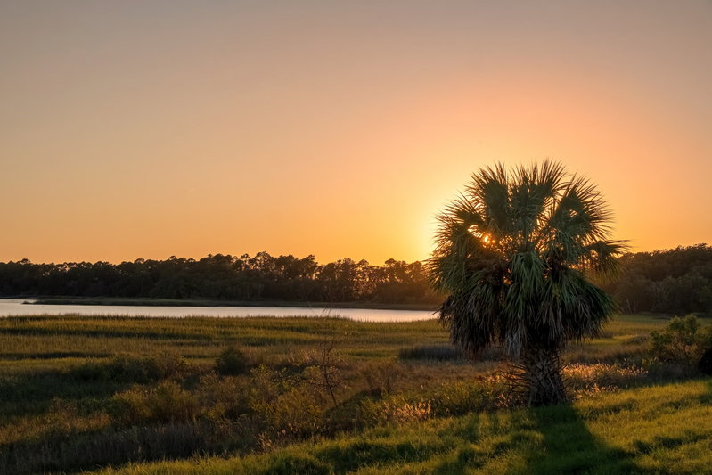 Georgia Southern Serenity, Shellman Bluff, United States of America, photo 19 of 19