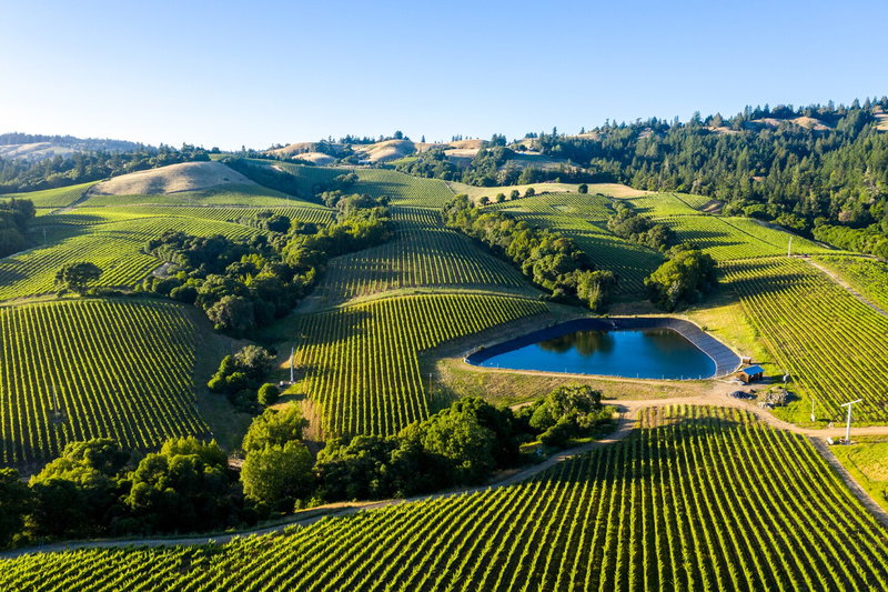 California Wellness Retreat, Your Californian Wellness Escape, United States of America, photo 13 of 21