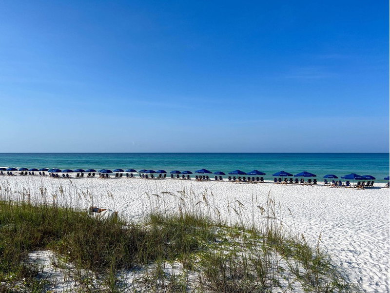 30A Sun-Soaked Shores, 30A, United States of America, photo 20 of 24