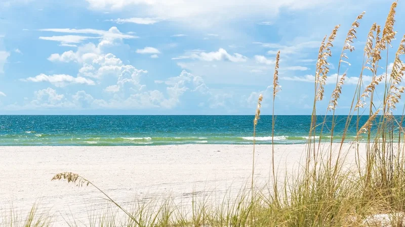30A Sun-Soaked Shores, 30A, United States of America, photo 22 of 24