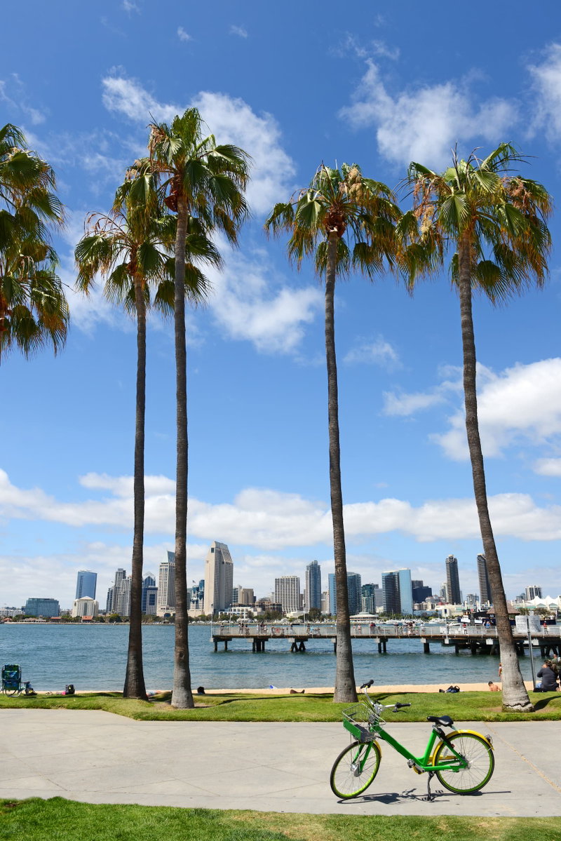 Sunny San Diego, San Diego, United States of America, photo 2 of 28