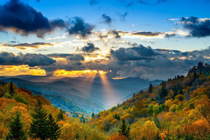 Smoky Mountains Serenity, The Great Smoky Mountains, United States of America, photo 19 of 19