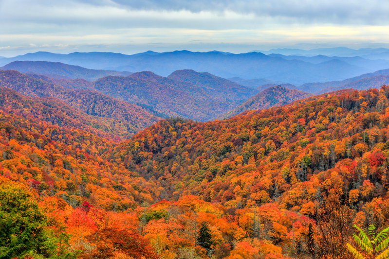 Smoky Mountains Serenity, The Great Smoky Mountains, United States of America, photo 6 of 19