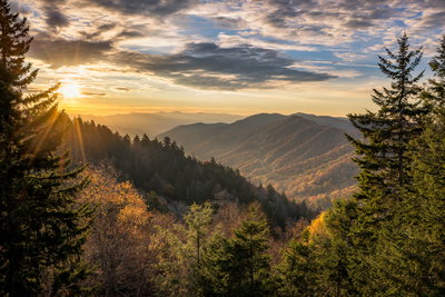 Smoky Mountains Serenity, The Great Smoky Mountains, United States of America, photo 1 of 19