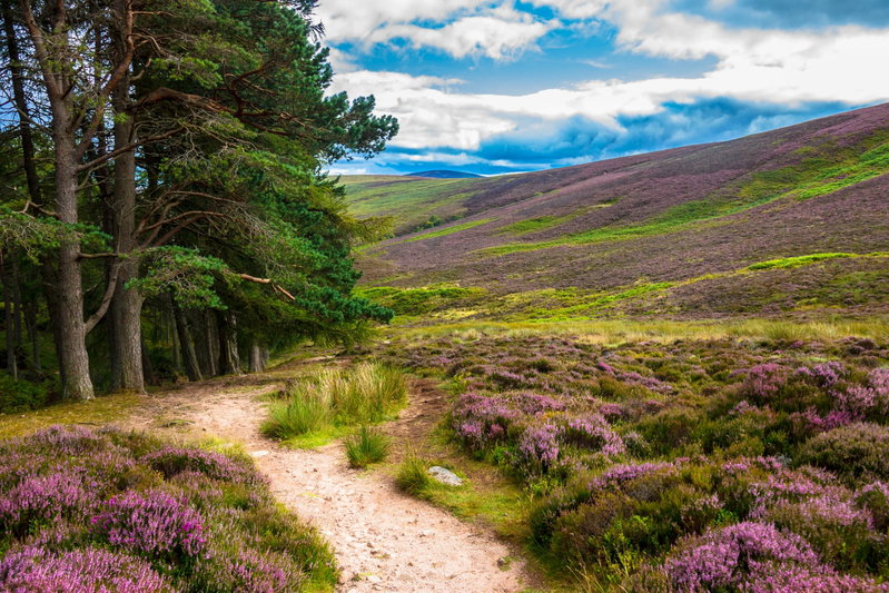 Heritage of Scotland, Aberdeenshire, United Kingdom, photo 26 of 28