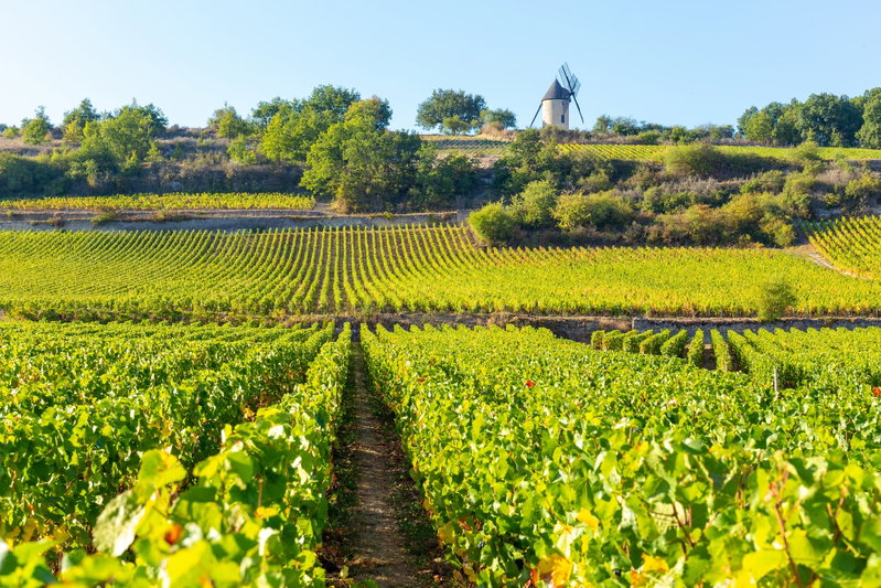 Best of Burgundy, Burgundy, France, photo 22 of 22