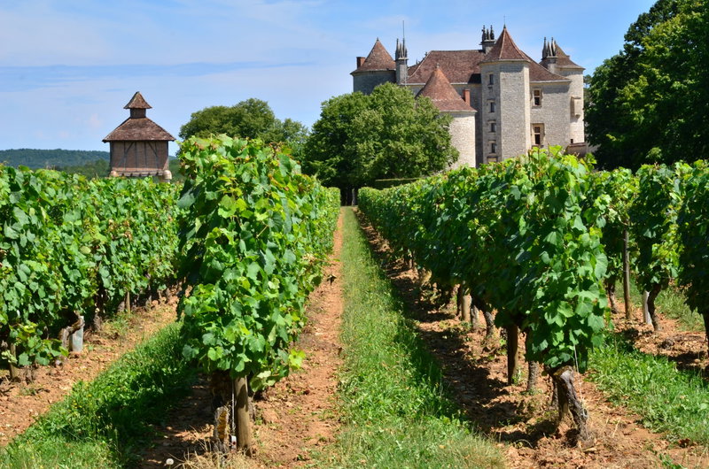 Lot Valley Luxury, Lot Valley, France, photo 15 of 16