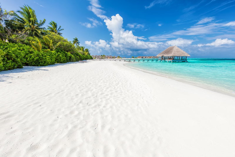 Maldives Magic, The Maldives, Maldives, photo 16 of 16