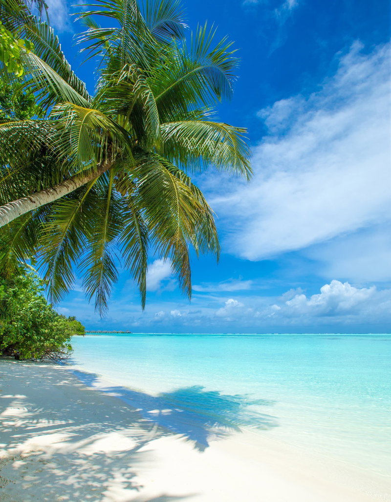 Maldives Magic, The Maldives, Maldives, photo 2 of 16