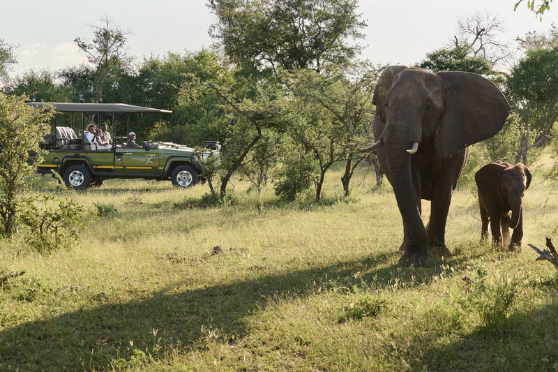 Wonders of Zimbabwe, Victoria Falls, Zimbabwe, photo 14 of 22